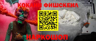 бошки Кингисепп
