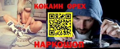 бошки Кингисепп