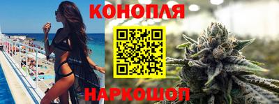 бошки Кингисепп