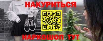 бошки Кингисепп