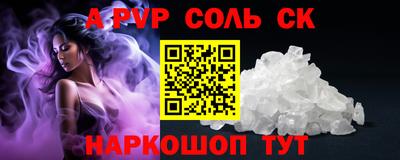 бошки Кингисепп