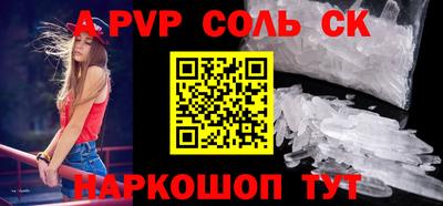 бошки Кингисепп