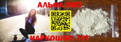 бошки Кингисепп