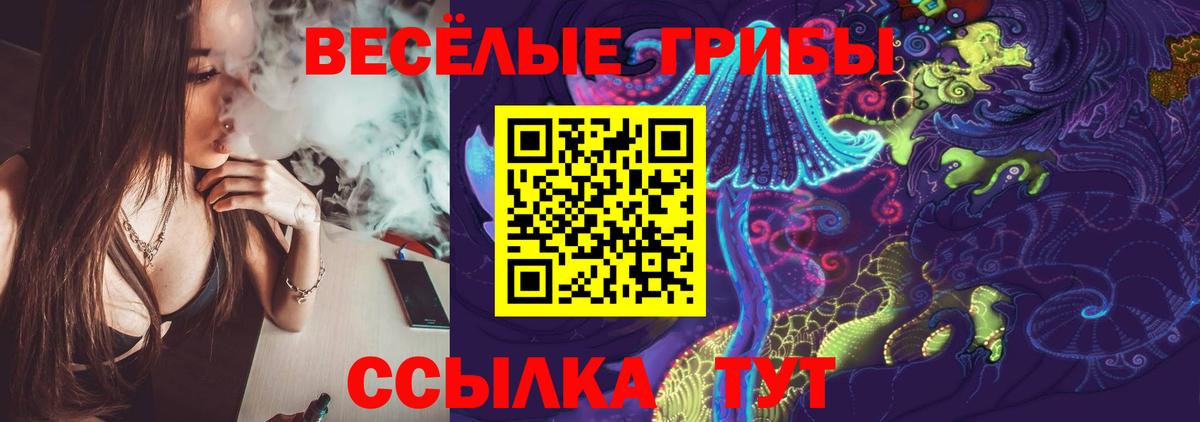 Галлюциногенные грибы Magic Shrooms Кувандык